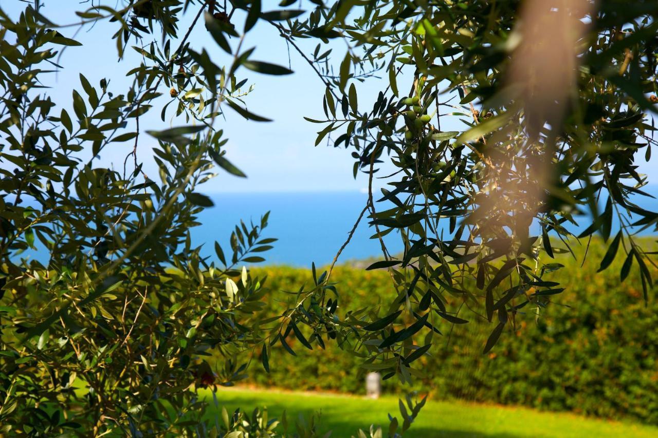 Casale Del Mare Villa Castiglioncello Ngoại thất bức ảnh