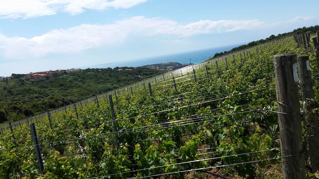 Casale Del Mare Villa Castiglioncello Ngoại thất bức ảnh